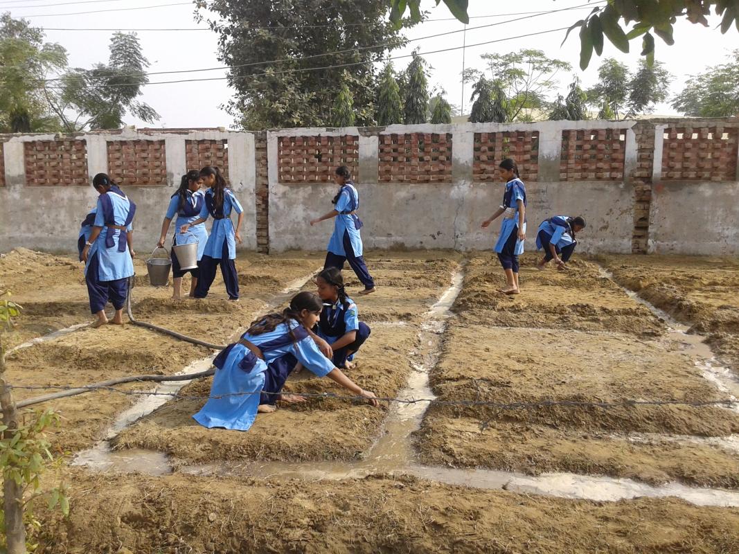 Swasch Bharat( MAKE THE LAND USEFUL)