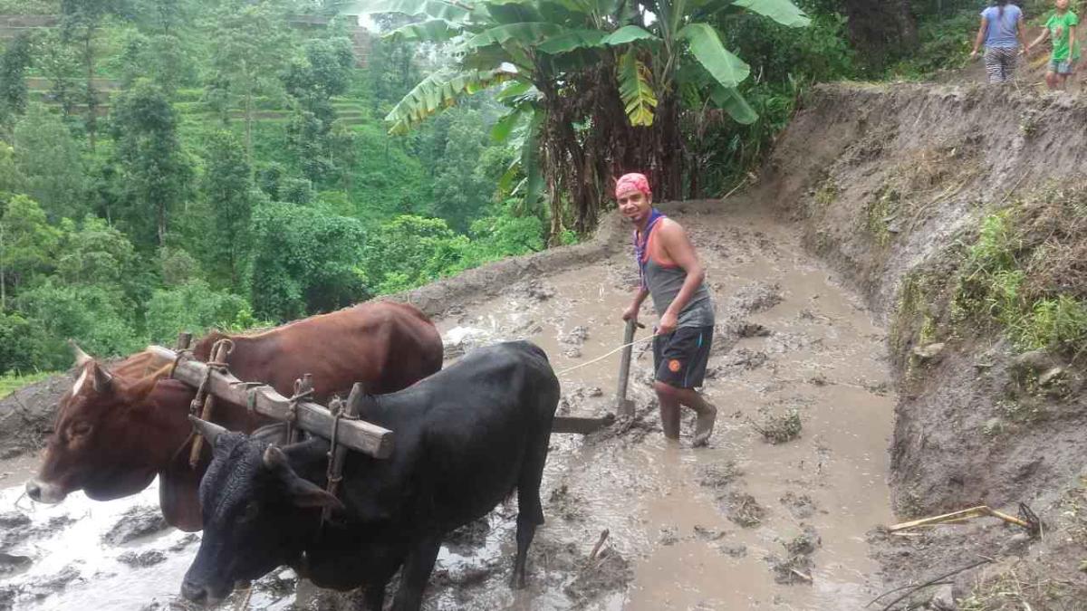 "VOLUNTEERS"   – "The heart of the community"