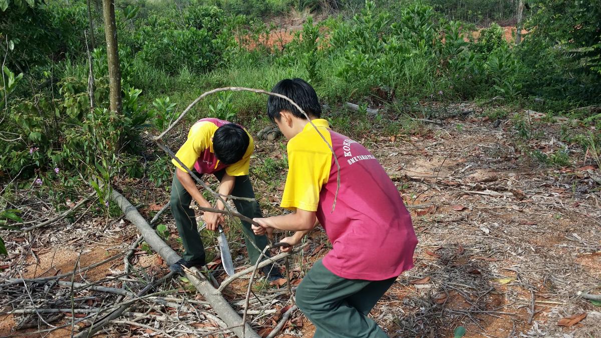 Scouting pioneering teaching 