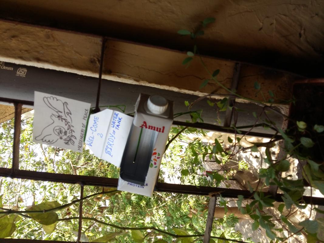 Birdy water tank for thristy birds..(.Care for birds)
