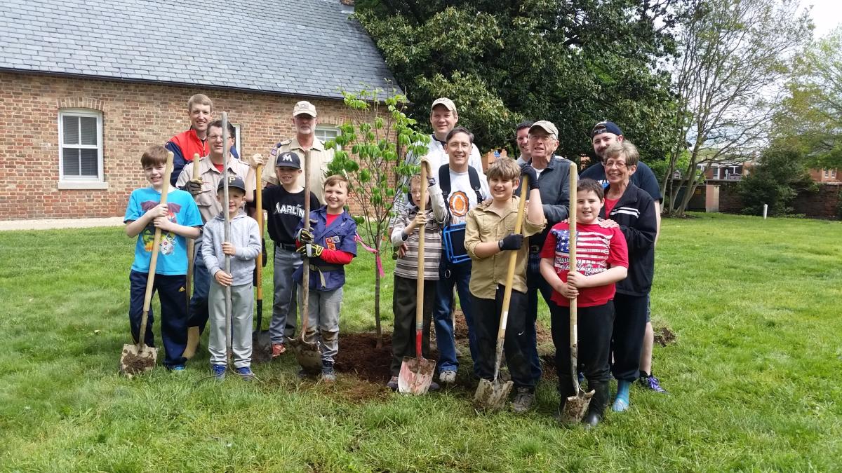 Dogwood Trees for Historic Hanover County, VA Courthouse