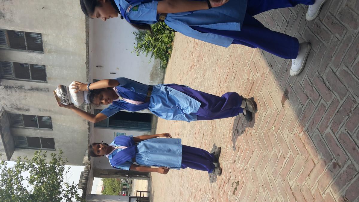 We are doing door to door camping for save water 