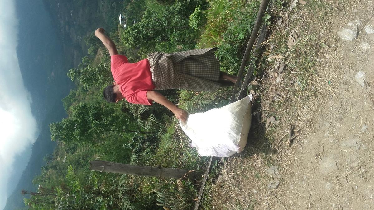 Environment 