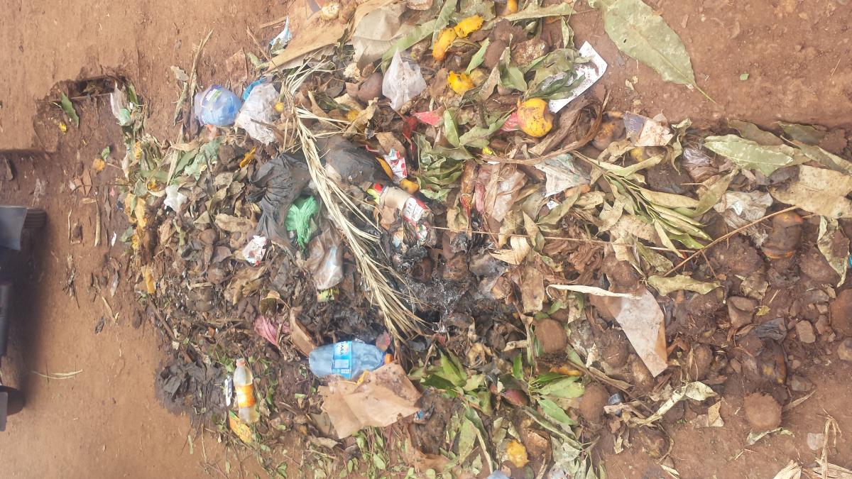 Clean Up Your Environment