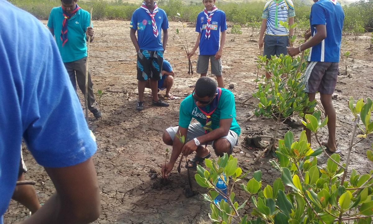 VENTURER RALLY - MANGROVE PLANTING - HELP THE ENVIRONMENT