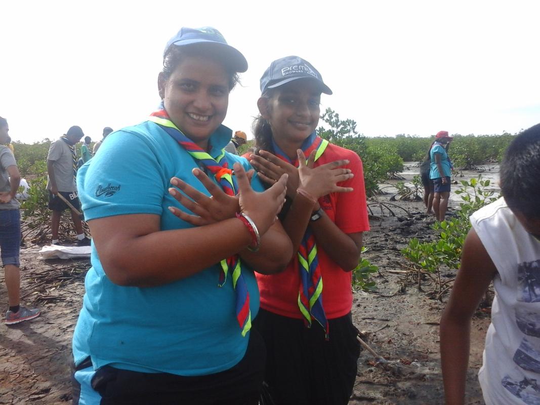 Mangrove Planting