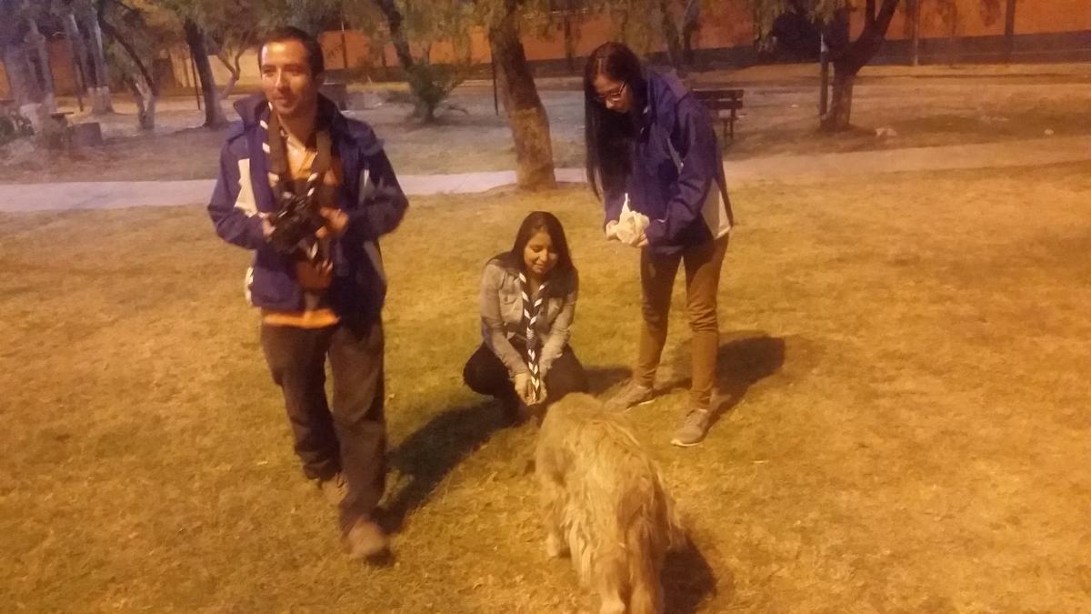 Alimentando a los perritos de la calle