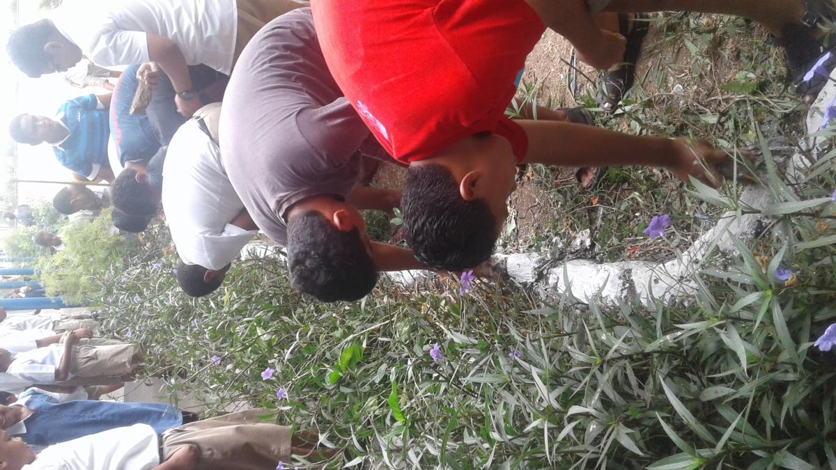 Beautification Project