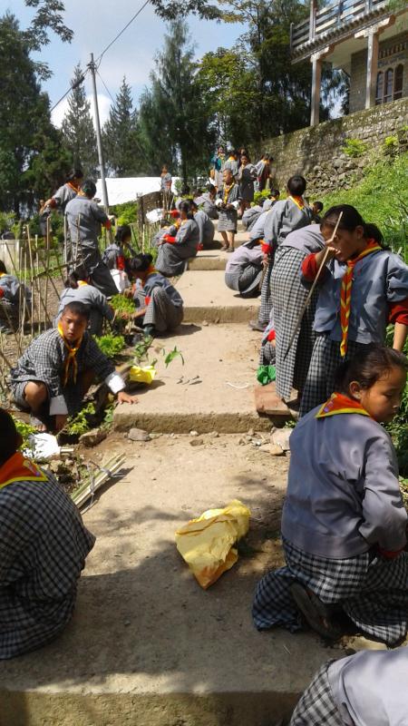 Plantation During June 2nd To Mark Social Foresty Day, To Commemorate The Birth of Our Gyalsey And to Remember Coronation Day of Fourth king Jigme Singye Wangchuch