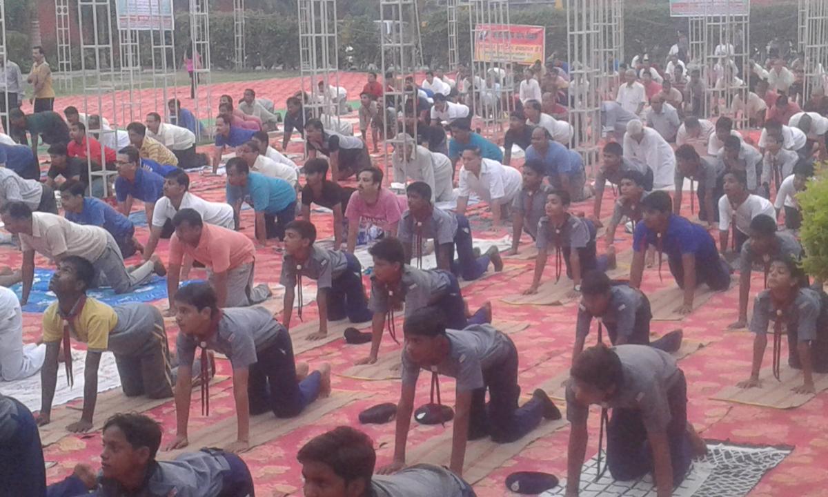 21 जून, विश्व योगा शिविर में दिया इण्डियन स्काउट/गाइड ग्रुप (स्वतंत्र) ने सफल योगदान।