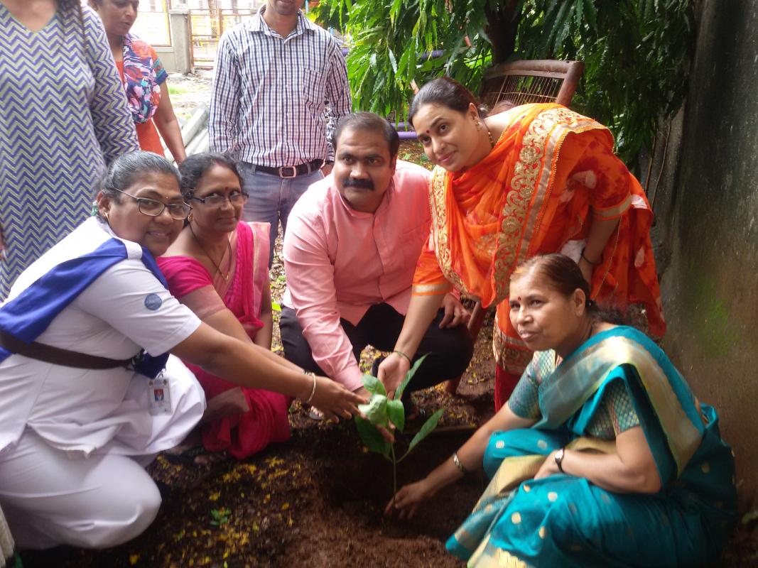 TREE PLANTATION IN MCGM SCHOOL