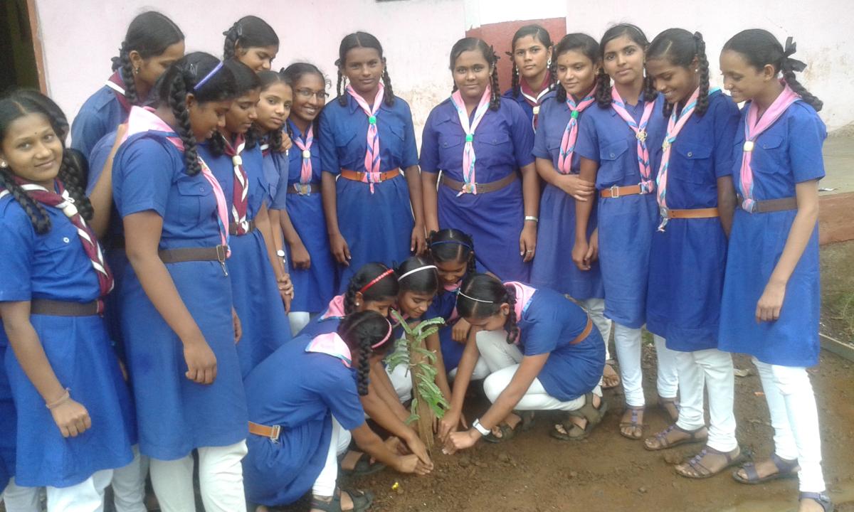 TREE PLANTATION