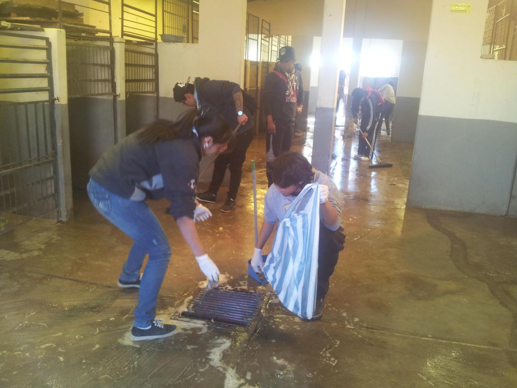 Rovers Unidos por las Mascotas 2: Clan Camelot - Oruro