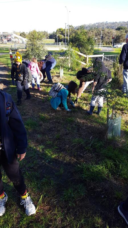 Mornington Peninsula Railway Re-vegetation Project