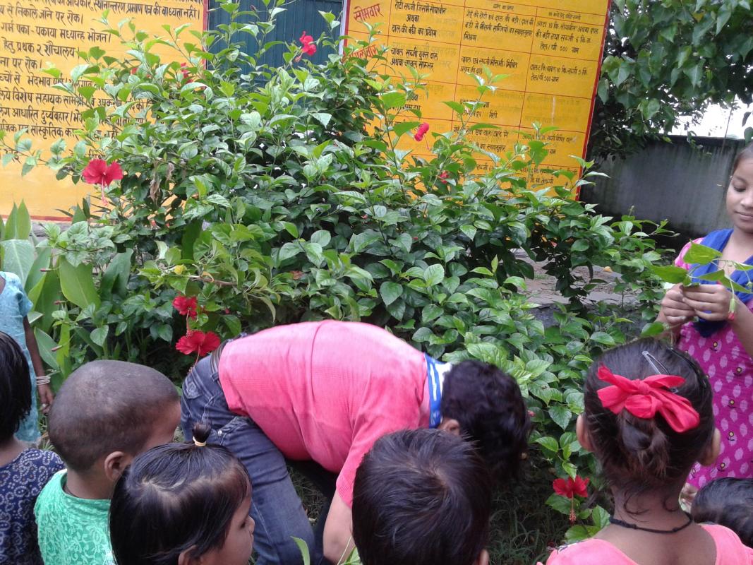Conservation and Plantation