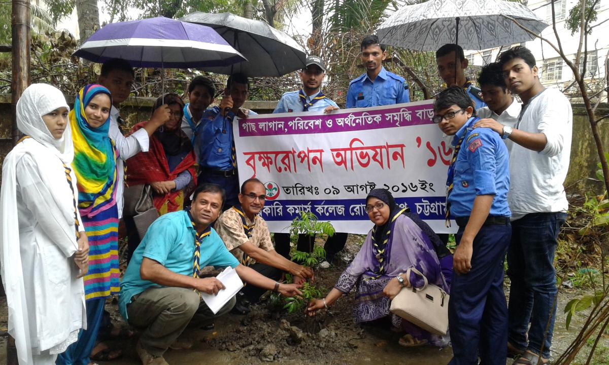tree plantation