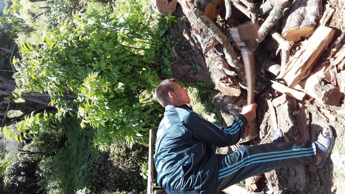 Community Service- Collecting Firewood for Old Grandpas