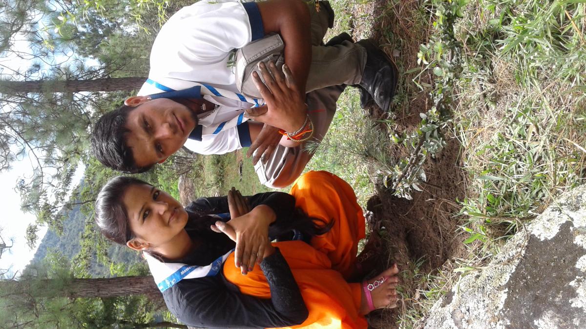 Tree Plantation