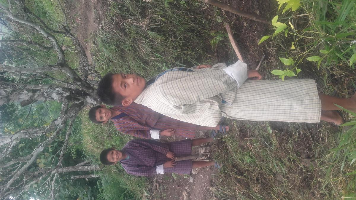 Environment 