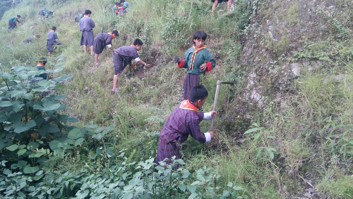 Save the nature for better future.