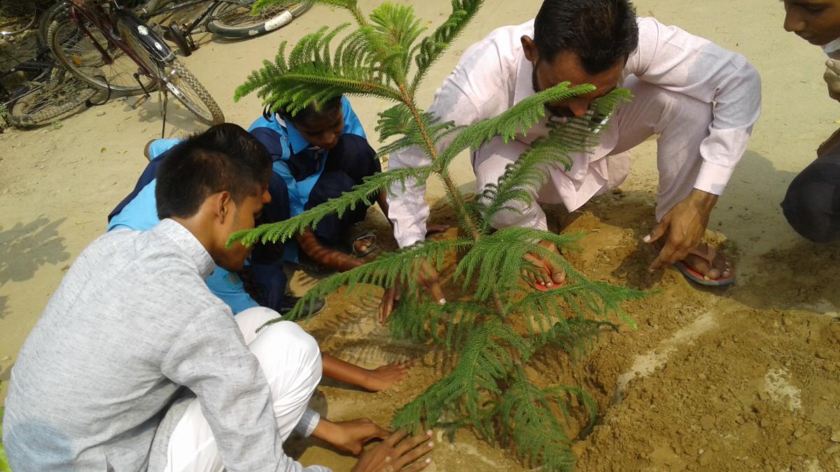 TREE FOR PEACE (INTERNATIONAL PEACE DAY)