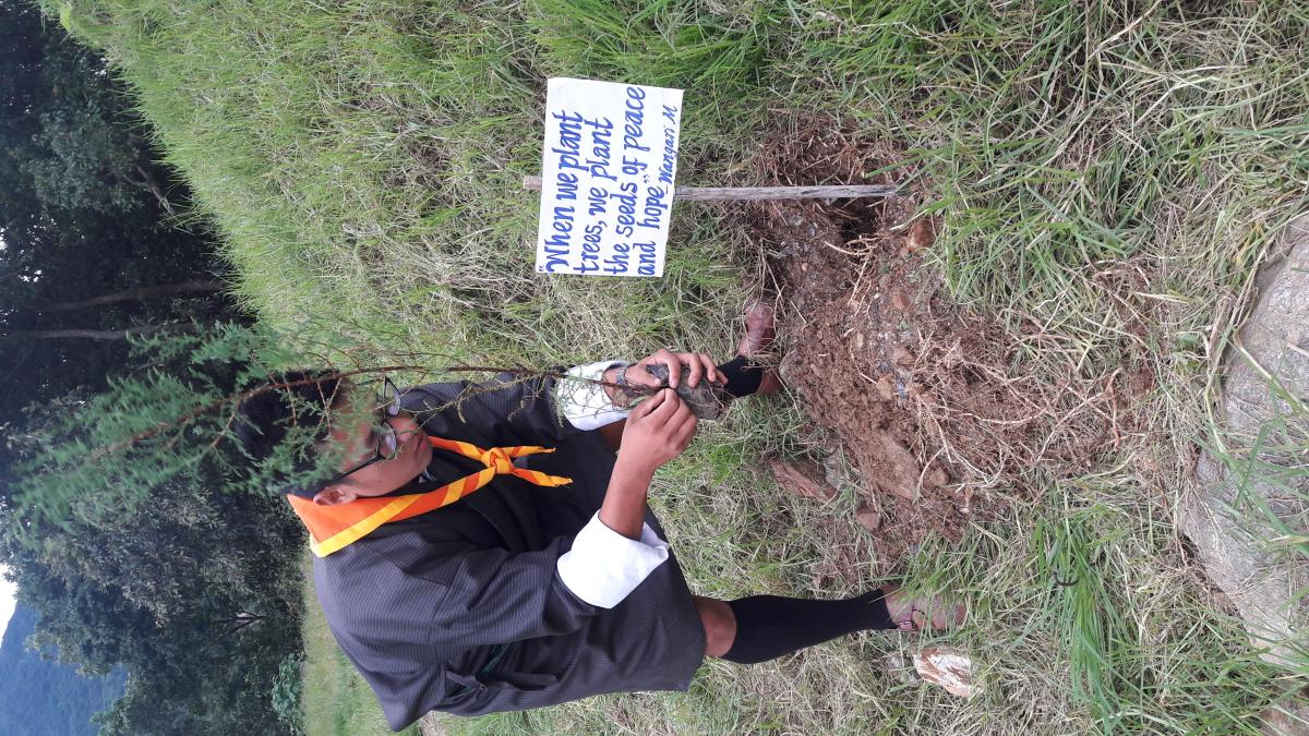 Planting peace 