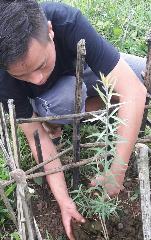 Conservation of Green 