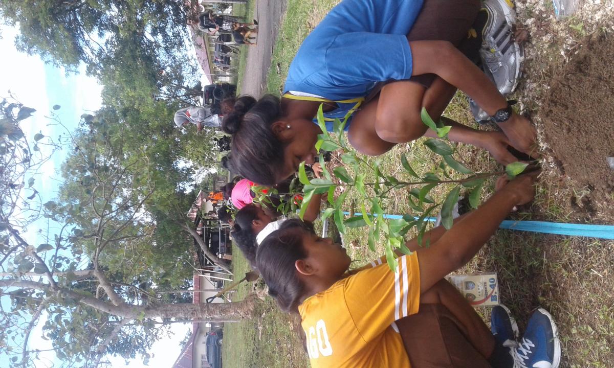 Tree planting at MALUKU'S SCOUT camp