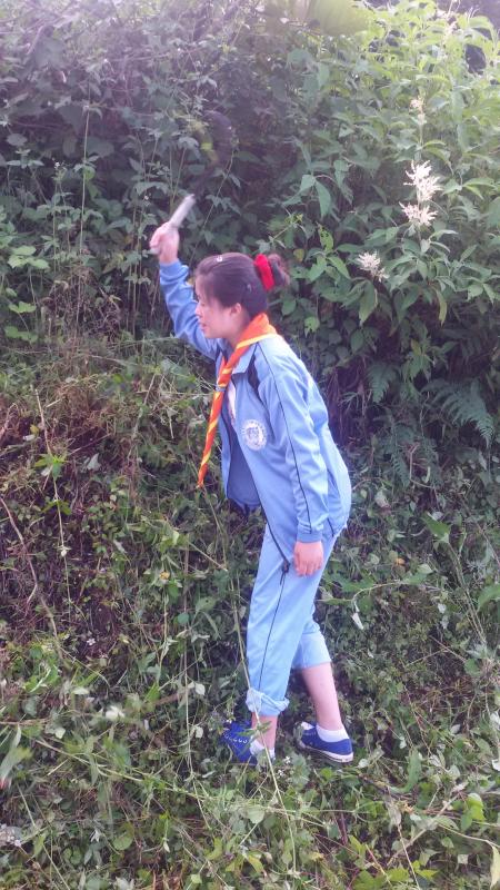 Cleaning Campaign around Zhemgang Town