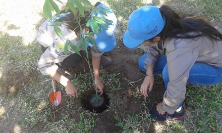 Embellecer parques y jardines
