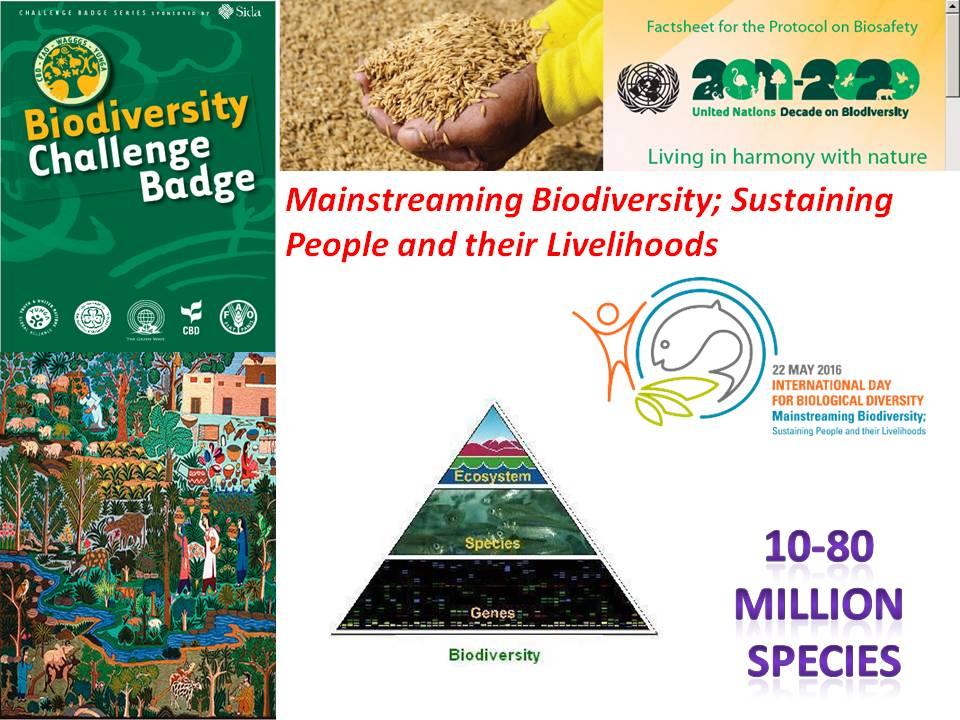 INTERNATIONAL DAY OF BIOLOGICAL DIVERSITY AND UN FAO YUNGA