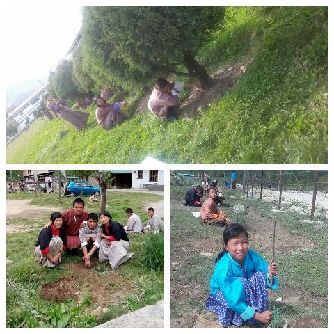 Small contribution for green bhutan 