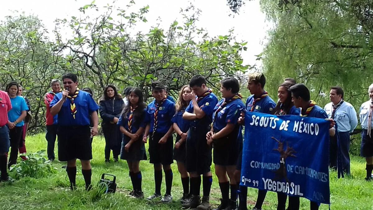 Proyecto - SURELI YGGDRASIL 2017