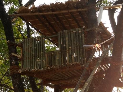 Tree House-Course Project