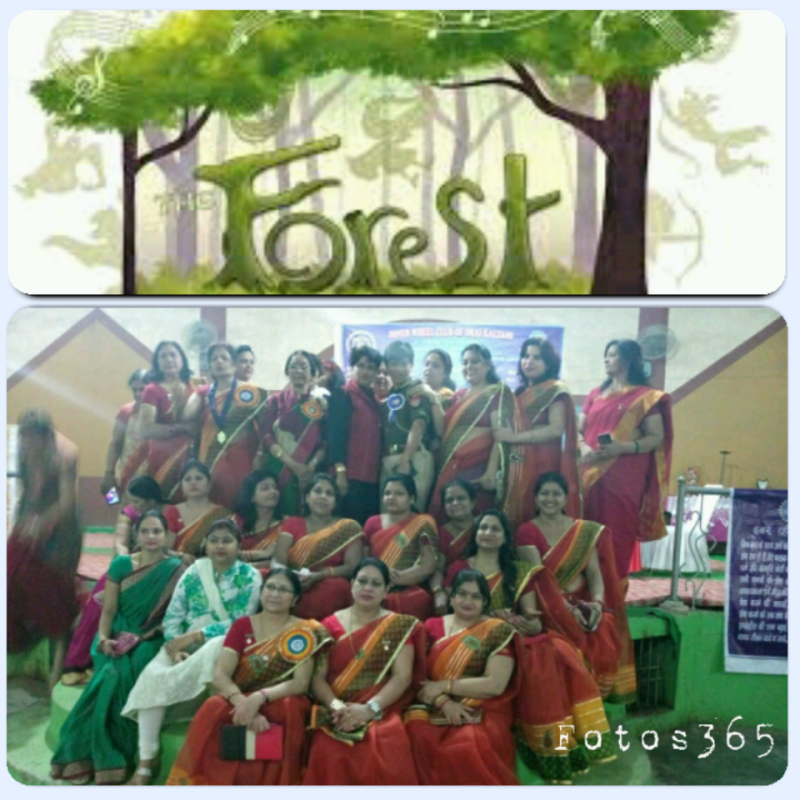International Forest Day 