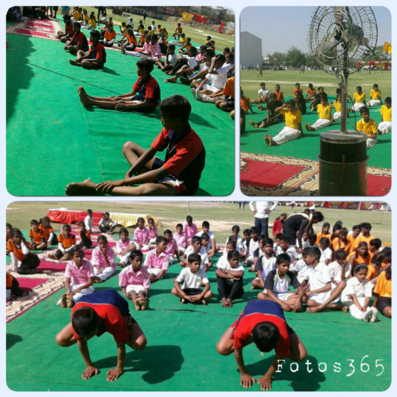 State Game Rally in Yogasan