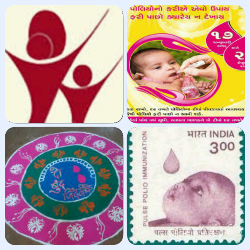 Pluse Polio Awareness on Seminar