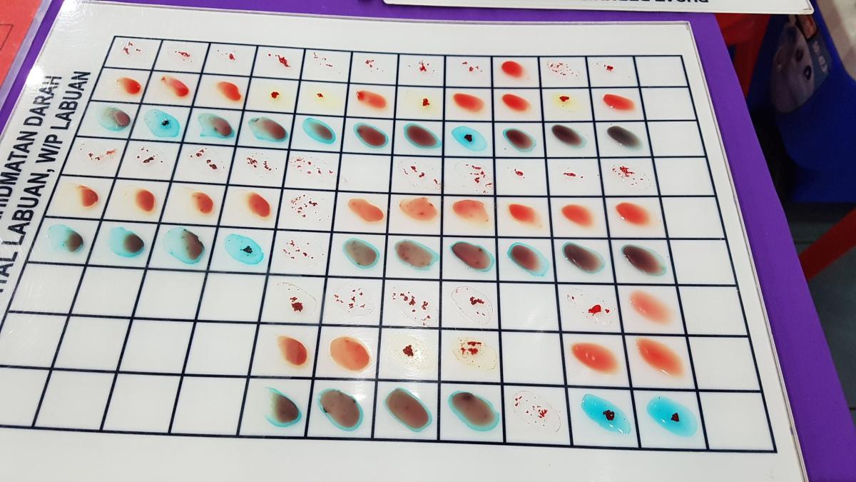 PENGAKAP LABUAN MENGUMPUL 76 PAIN DARAH 