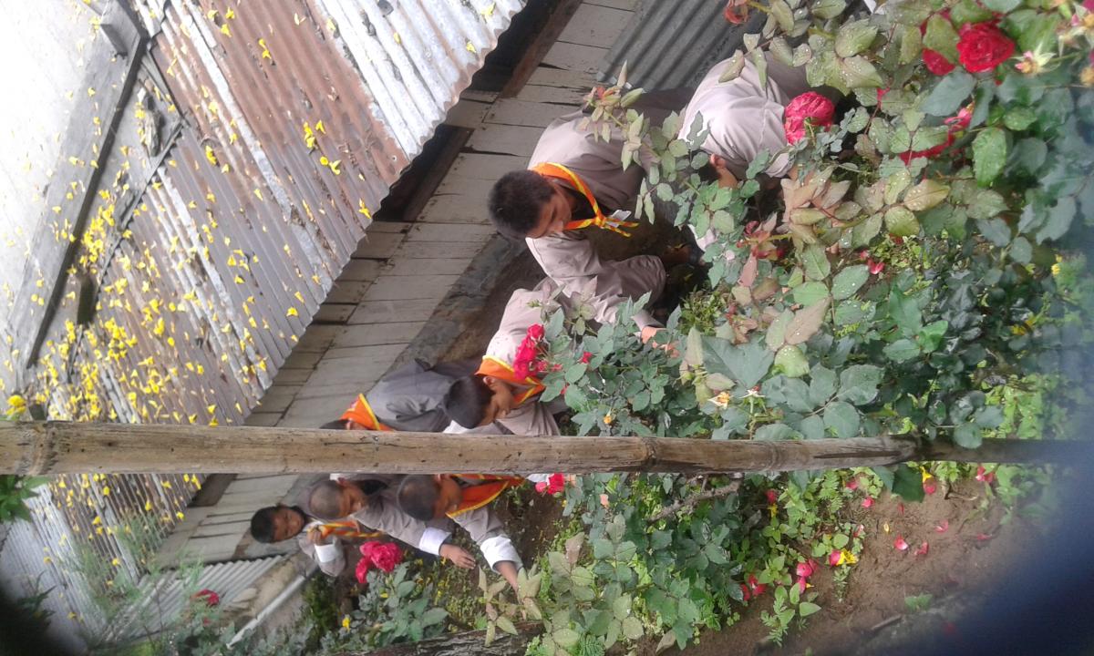 Cleaning campaign 