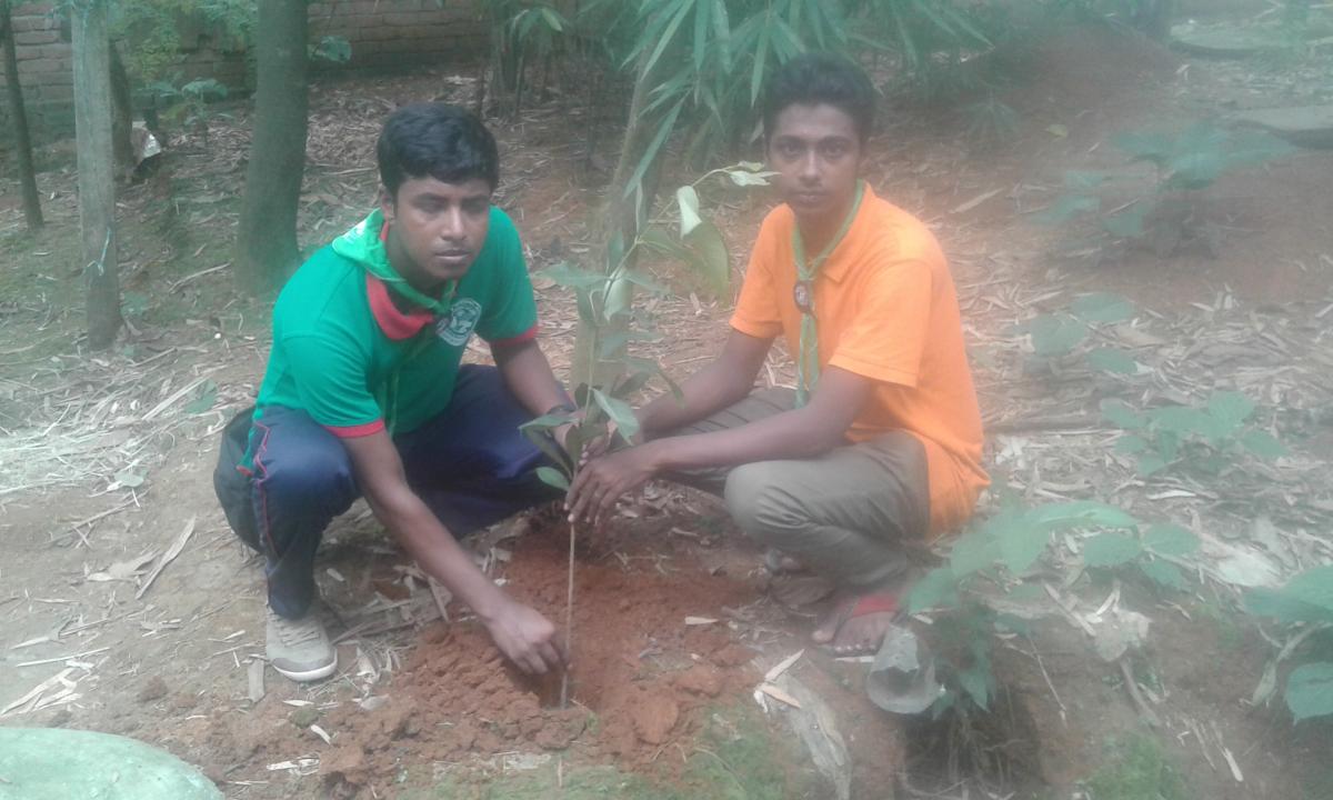 বৃক্ষরোপন ও স্যানিটেশন কার্যক্রম
