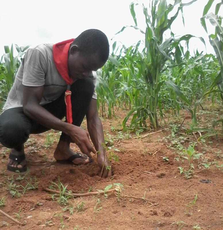 Célébration de la Journée Nationale de l'Arbre au Togo