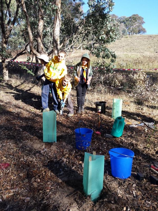 World Environment Day - Tree Planting