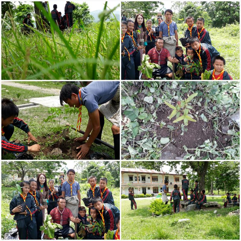 Plantation 