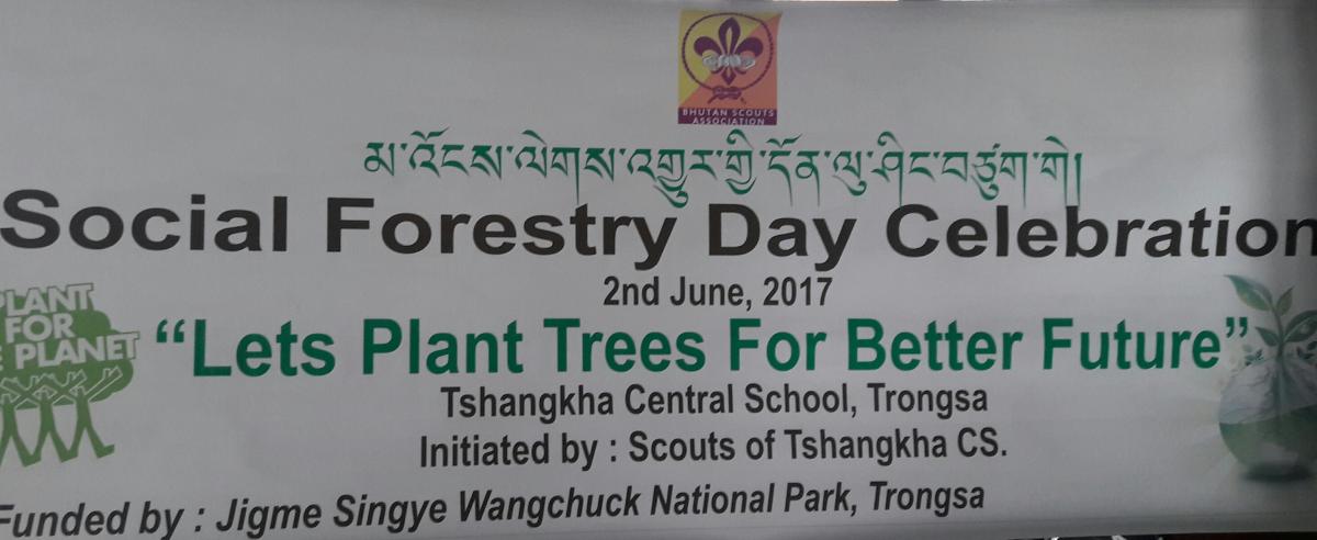 Social Forestry Day celebration 2017