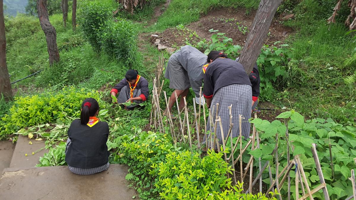 Sherigatshel scout,Tsebar LSS,pemagatshel