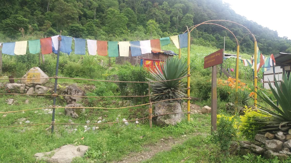 Cub Garden in the remotest school
