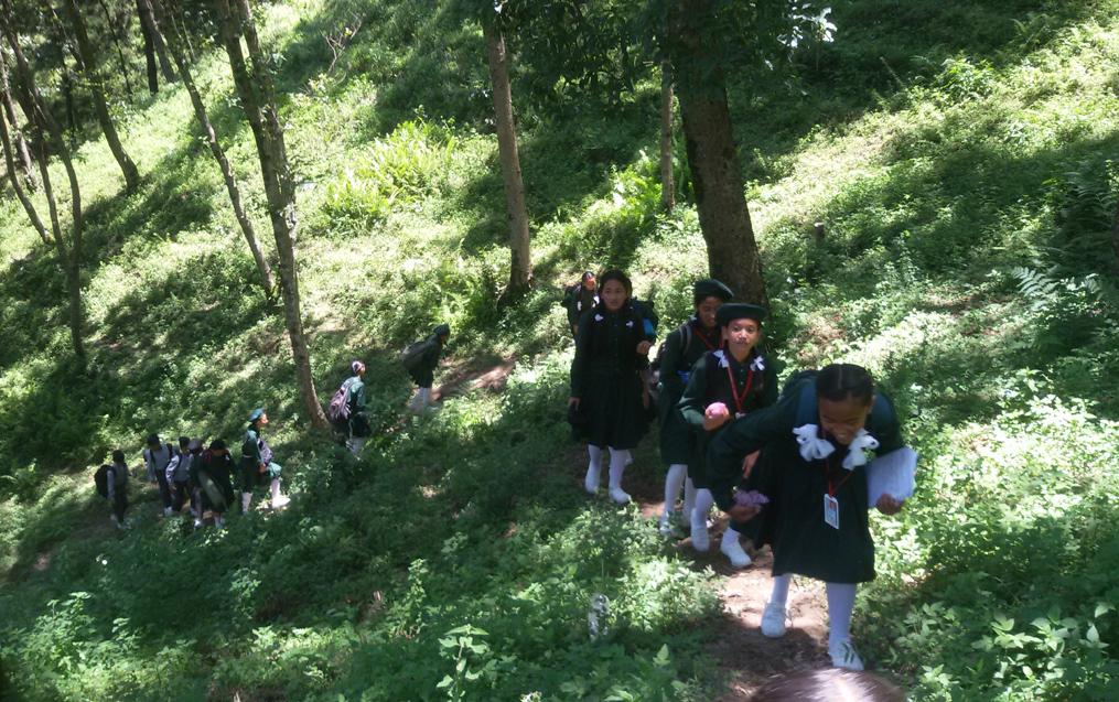 Exploring the Nature