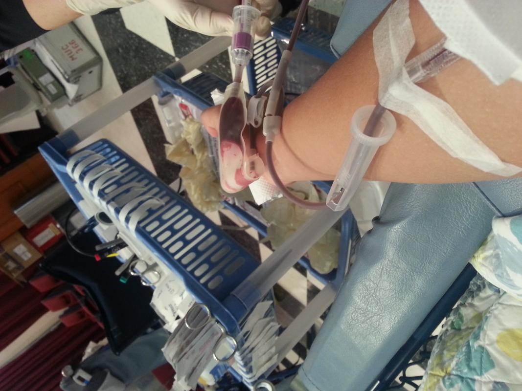 blood donation 