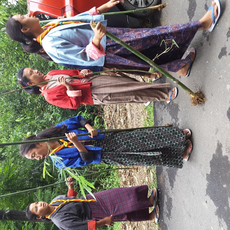 Bamboo plantation along the prone area road side