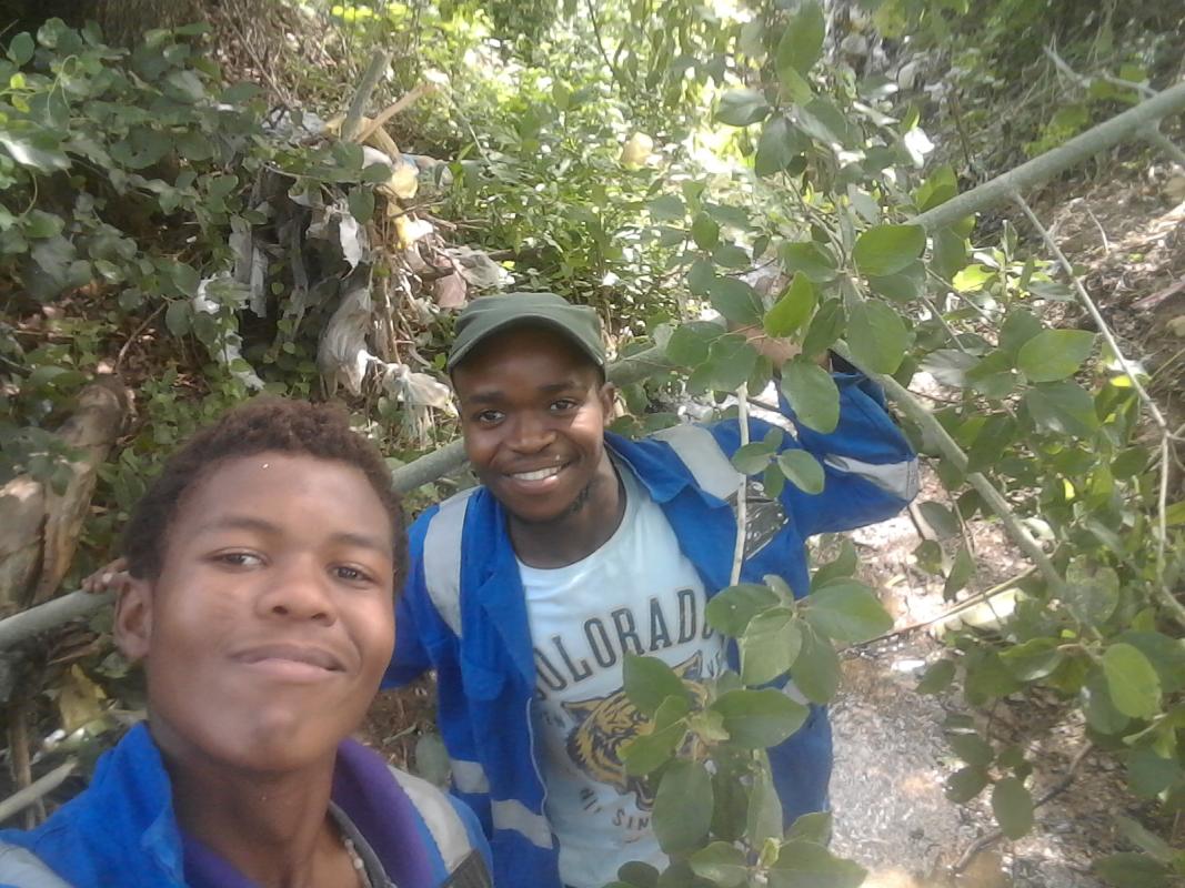 Environmental Project
